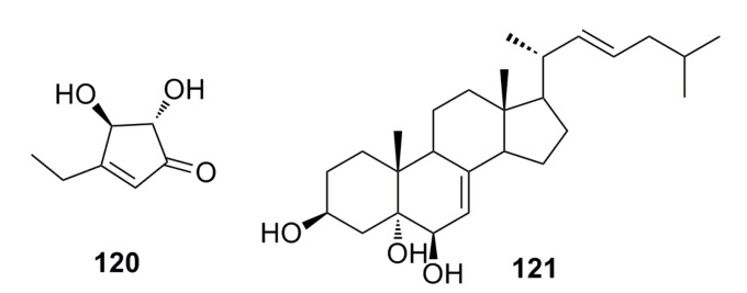 Figure 19