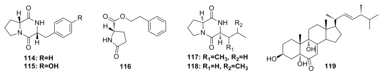 Figure 18