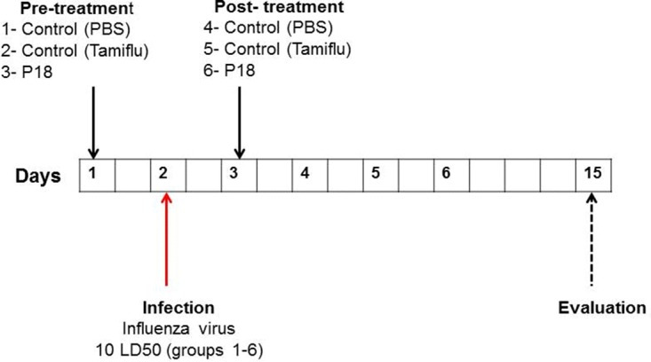 FIG 7