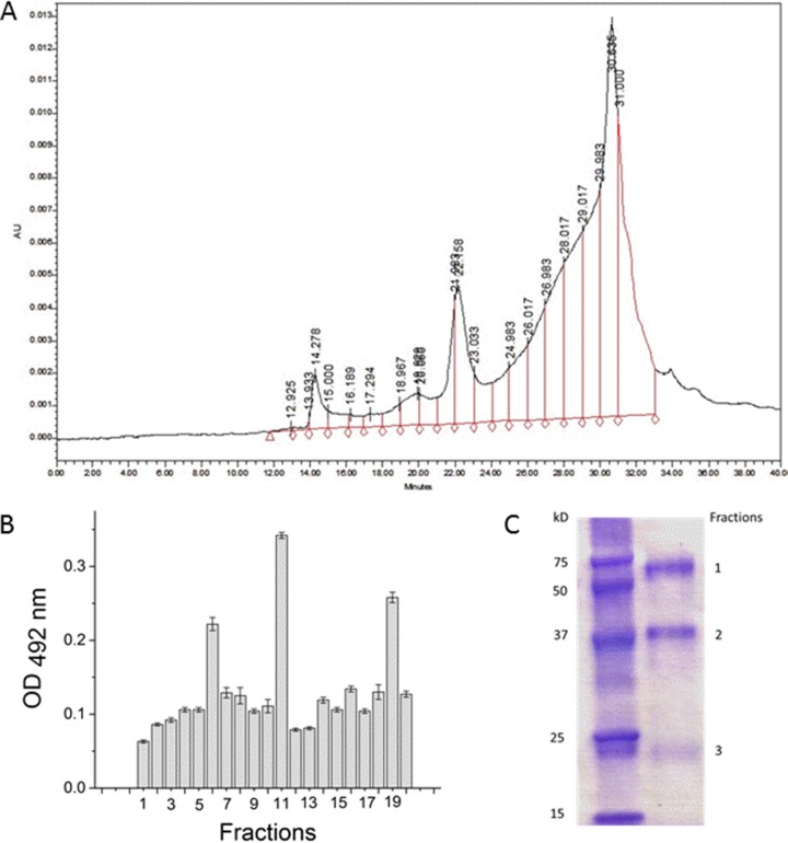 FIG 2