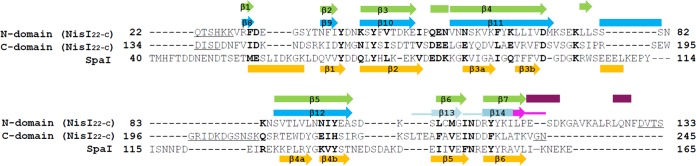 FIG 1