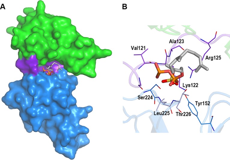 FIG 6