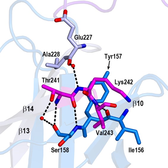 FIG 3