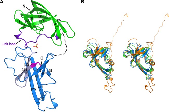 FIG 2