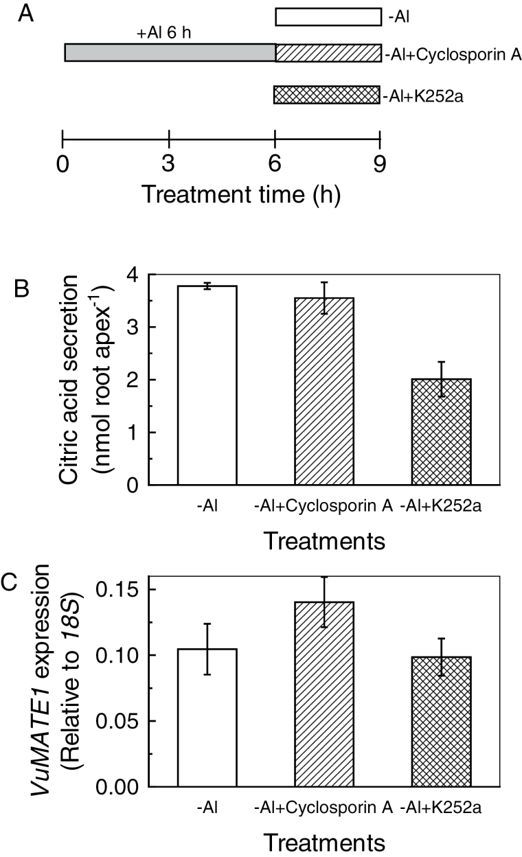 Fig. 6.