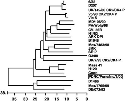 FIG. 2.