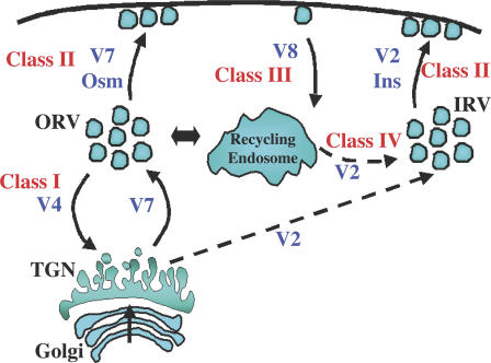 Figure 10.