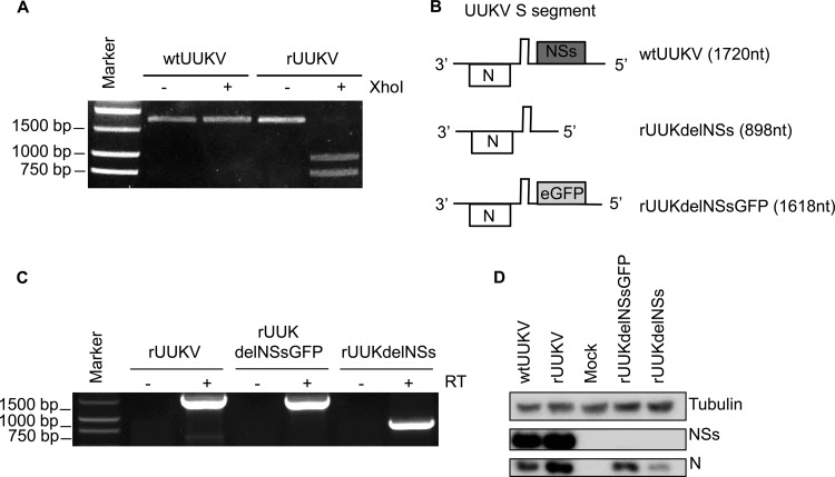 FIG 1