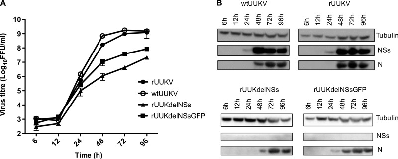 FIG 3