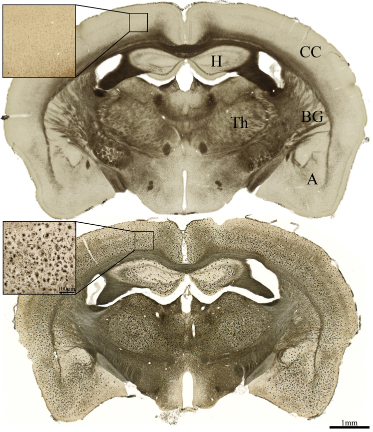 Fig. 3