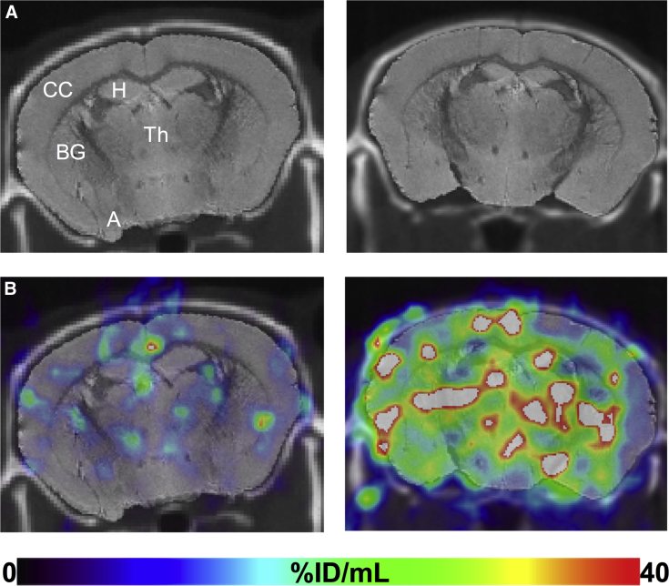 Fig. 4