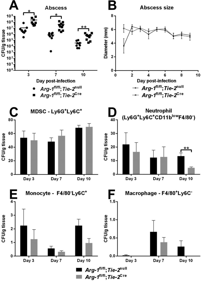 FIG 6