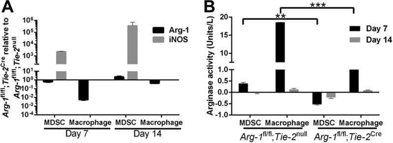 FIG 4