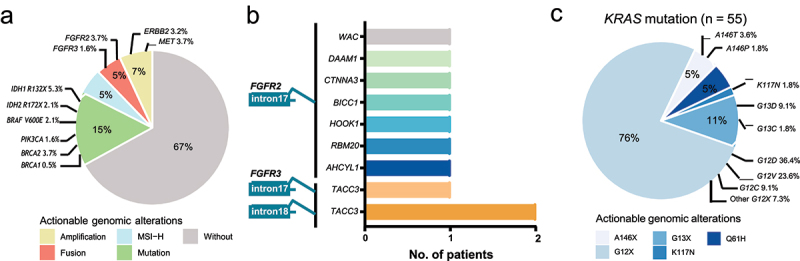 (a) A pie chart showing the proportion of actionable genomic features in the study cohort, including fusion of FGFR2/3, amplification of ERBB2 and MET, mutation of IDH1/2, BRAF, PIK3CA, and BRCA1/2, and microsatellite instability-high. (b) Seven patients harboring FGFR2 fusion, with all breakpoints in FGFR2 intron 17. Another three patients harboring FGFR3 fusion, with a same passenger fusion gene of TACC3. (c) A pie chart showing the proportion of actionable genomic features of KRAS in the study cohort, with 76% located in KRAS G12X.