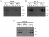 FIG. 7.