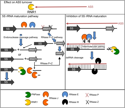 FIGURE 10.