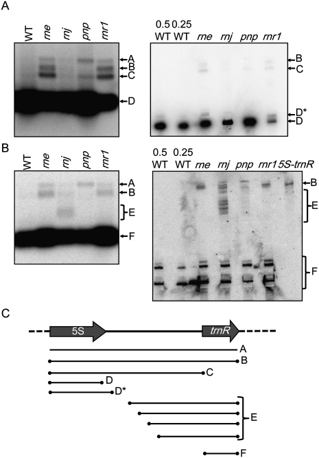 FIGURE 9.