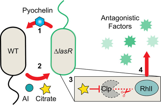 FIG 6