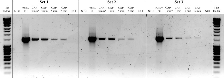 FIGURE 3