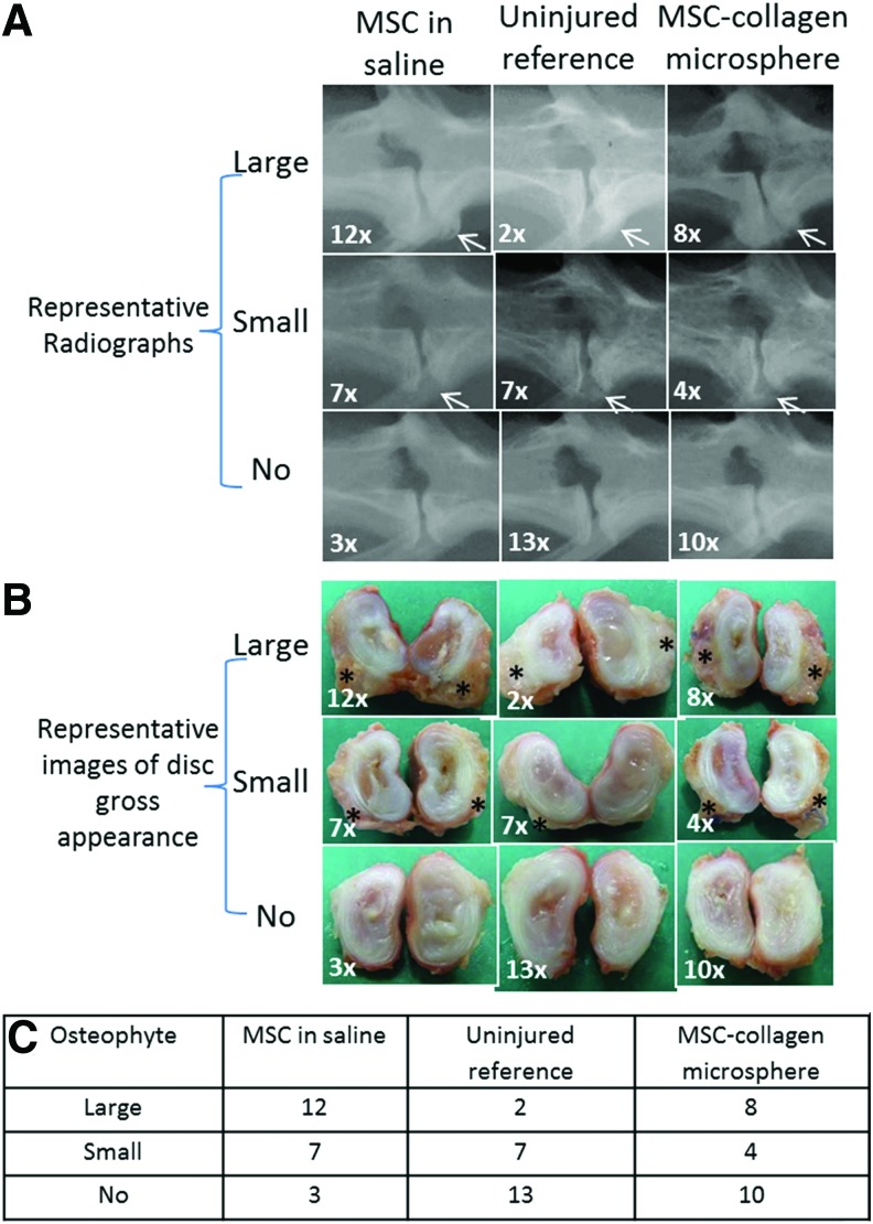 FIG. 6.