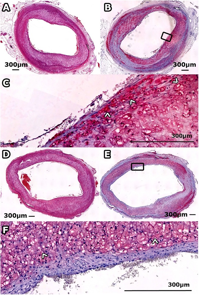 Fig 4