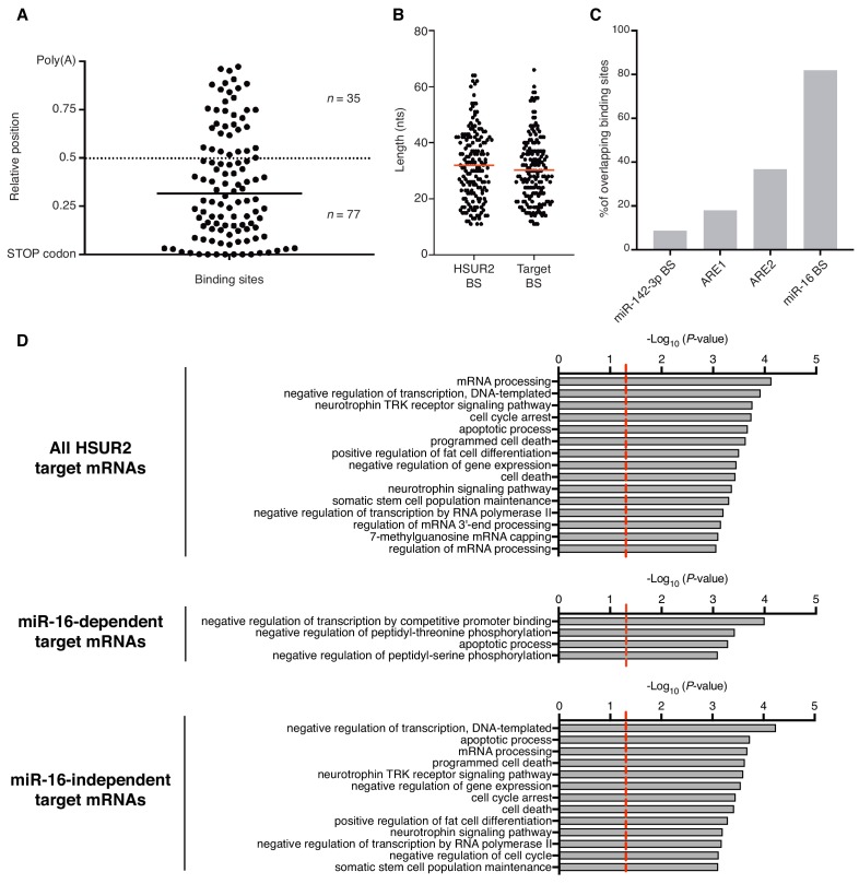 Figure 2—figure supplement 1.