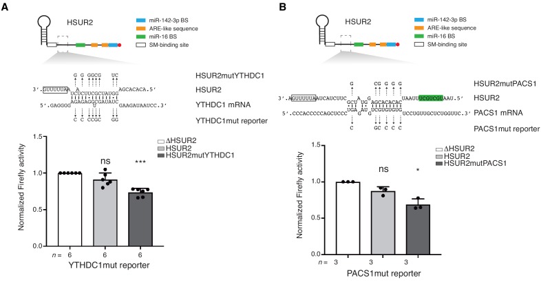 Figure 4—figure supplement 1.