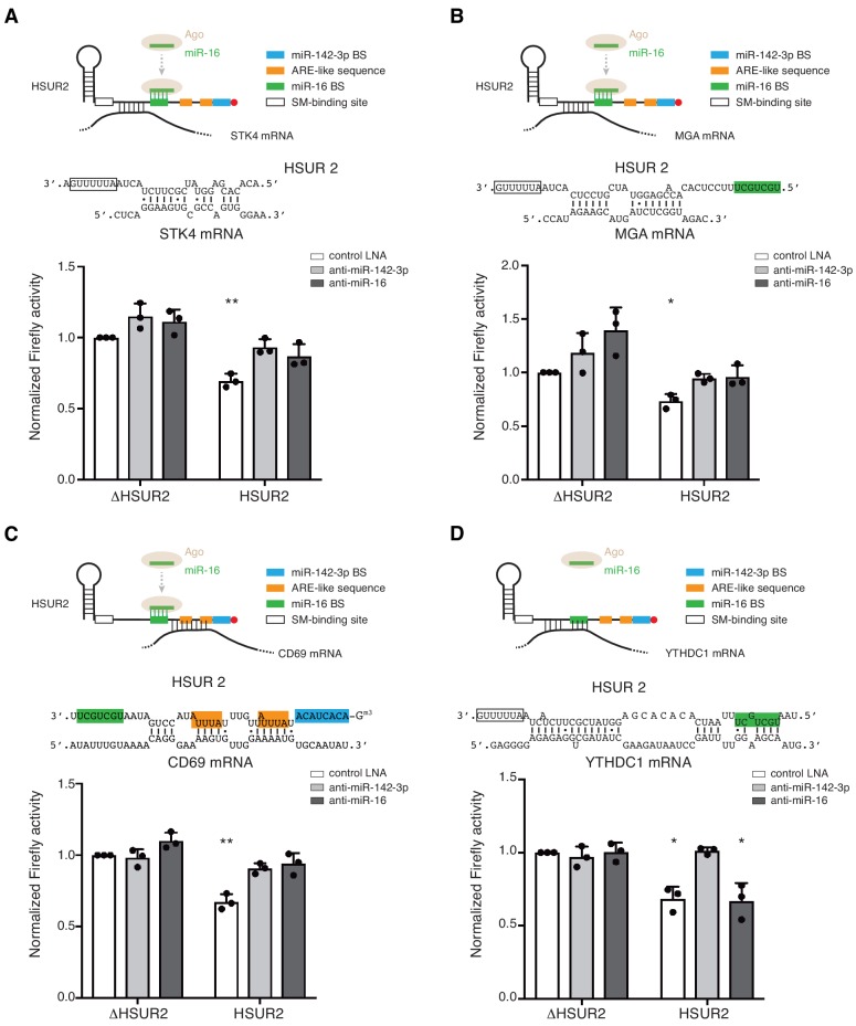 Figure 6—figure supplement 2.