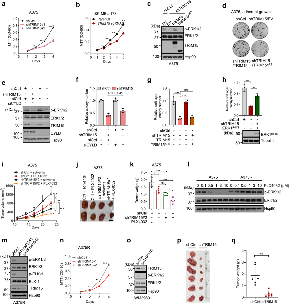 Fig. 7 |