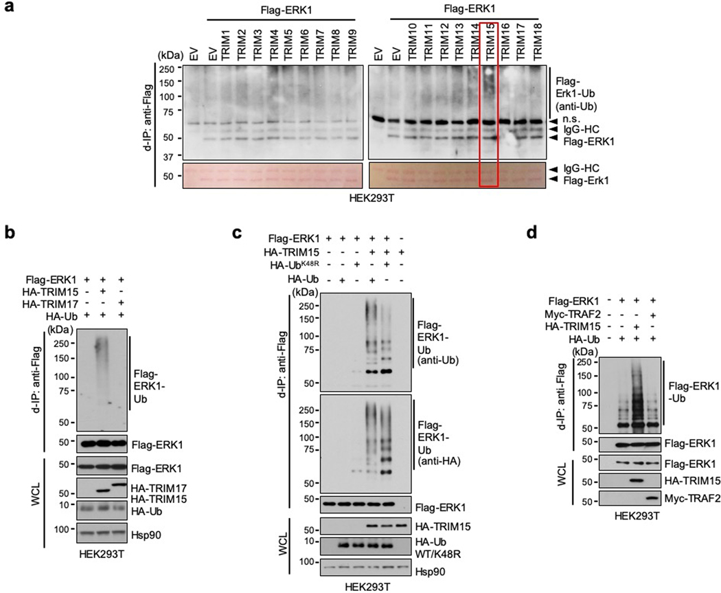 Extended Data Fig. 1