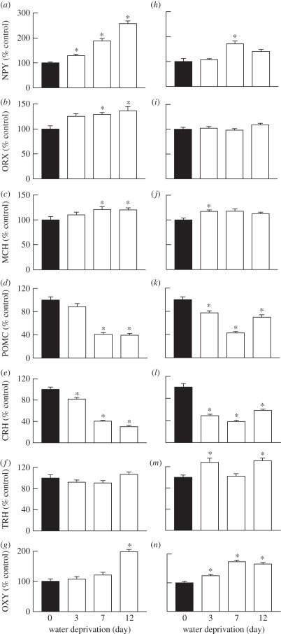 Figure 3.