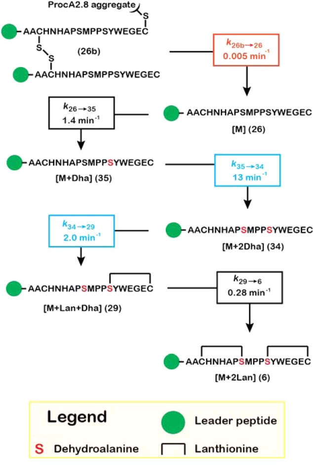 Scheme 5