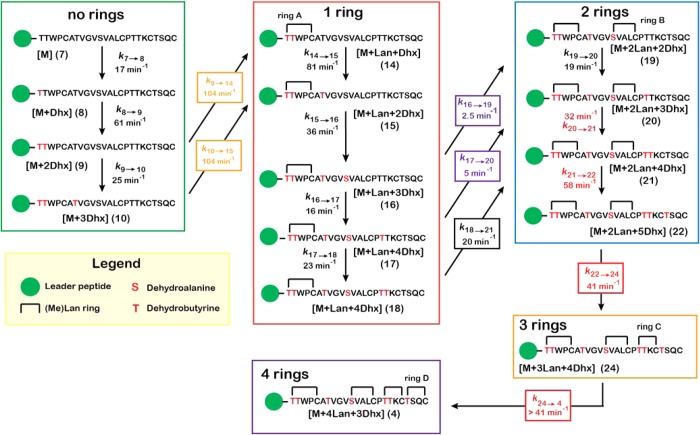 Scheme 3