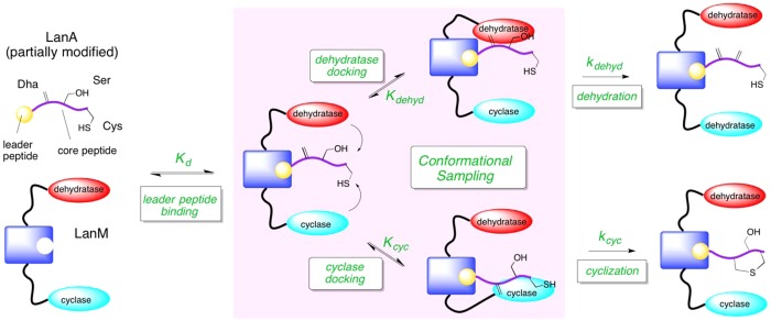 Scheme 6