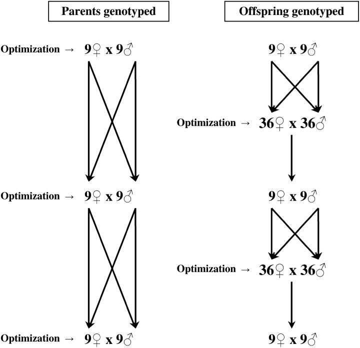 Figure 1.—