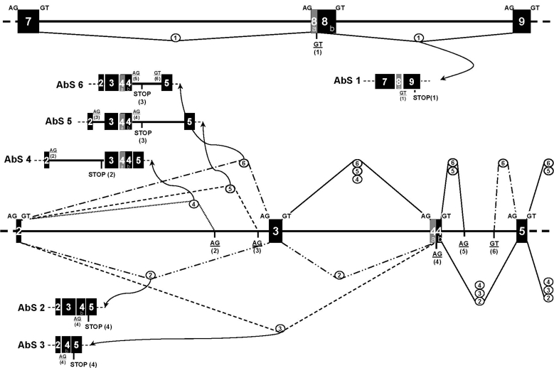 Figure 9