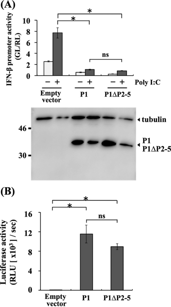 FIG 9