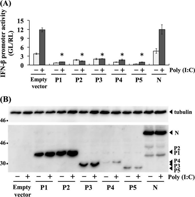 FIG 10