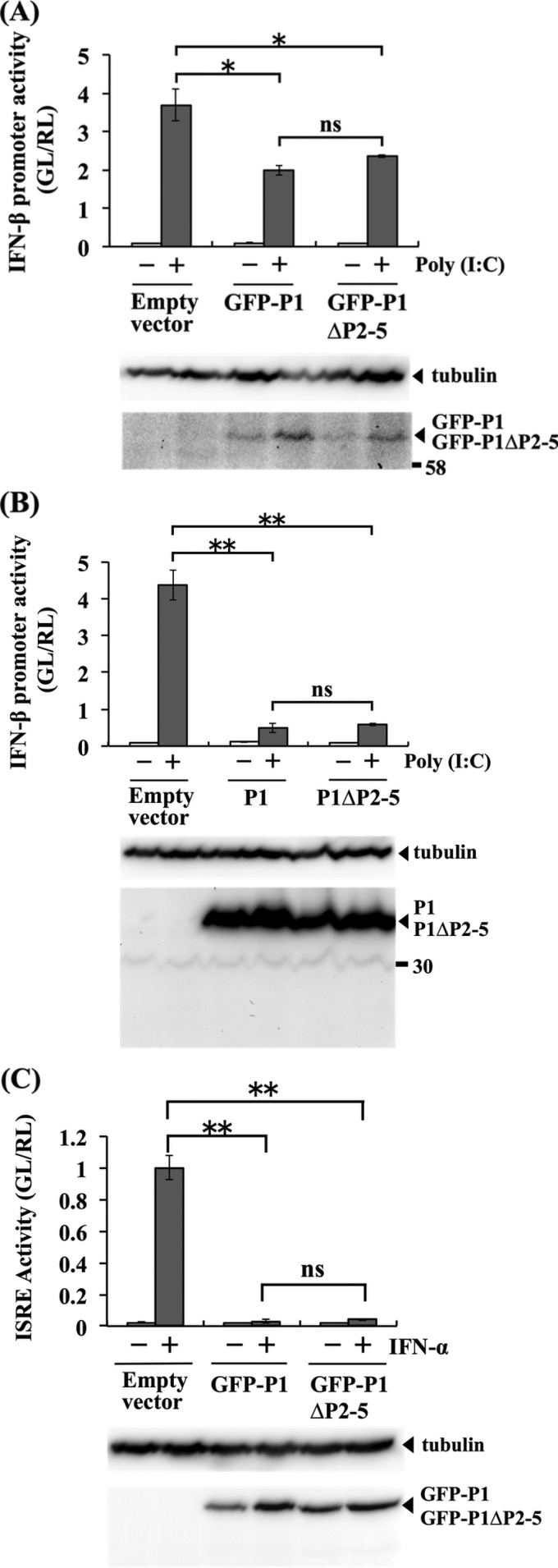 FIG 3