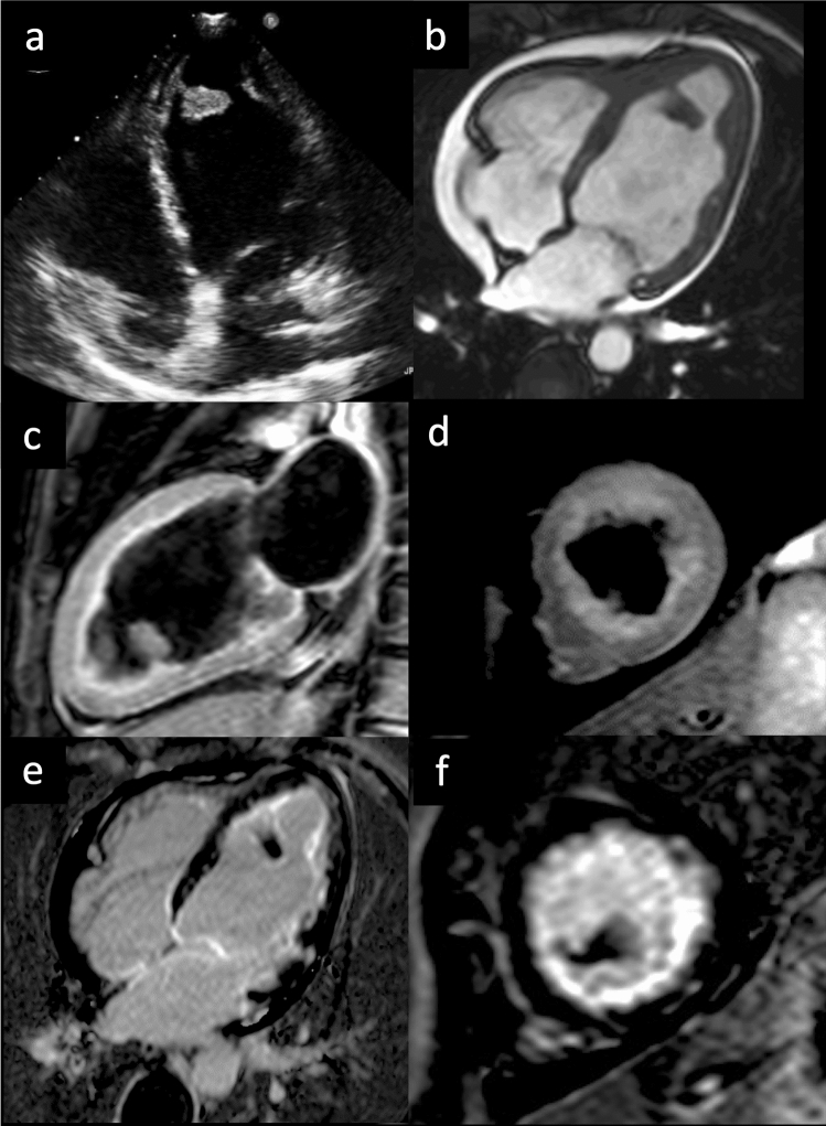 Fig. 6