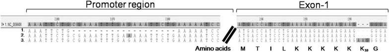 Fig. 2