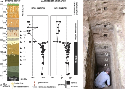 Fig. 2.