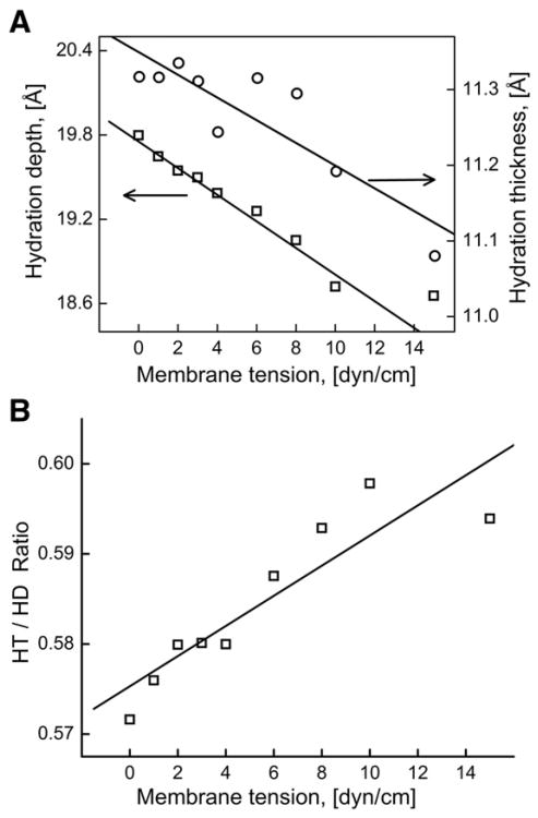 Fig. 5