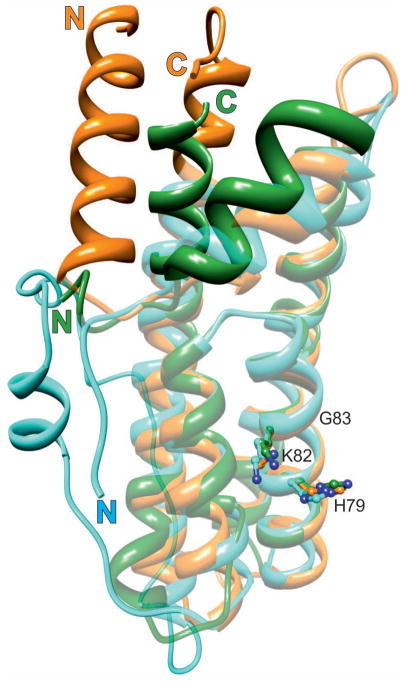 Fig. 5