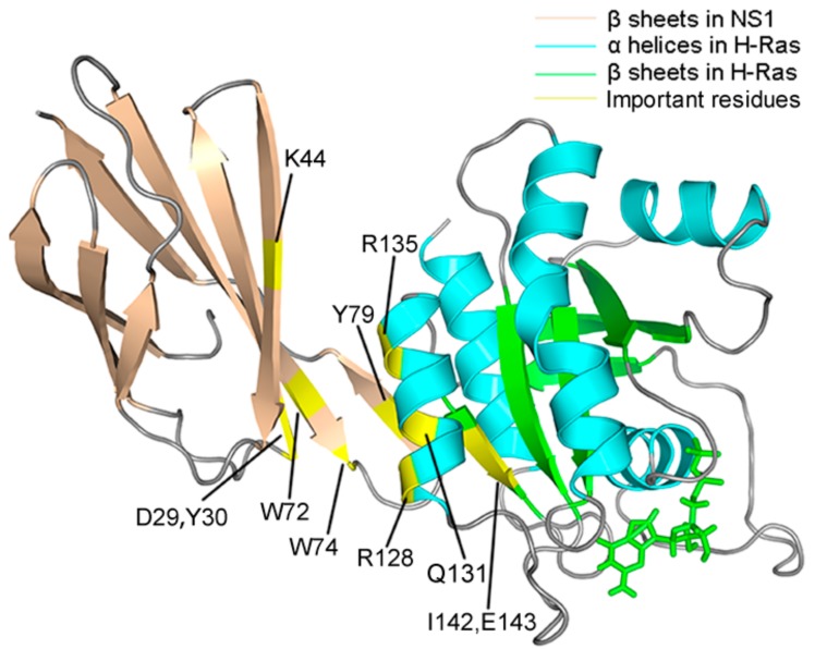 Figure 7