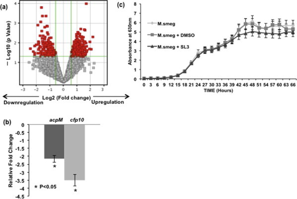 Supplementary Figure 3