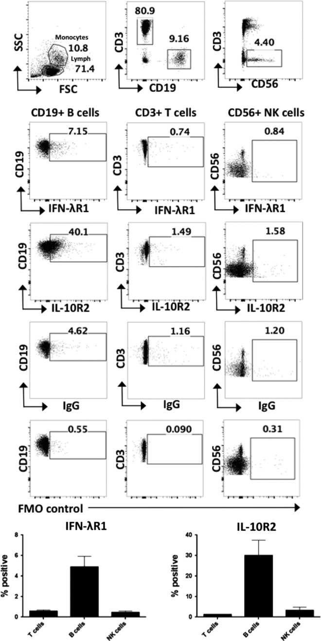 FIG. 1.