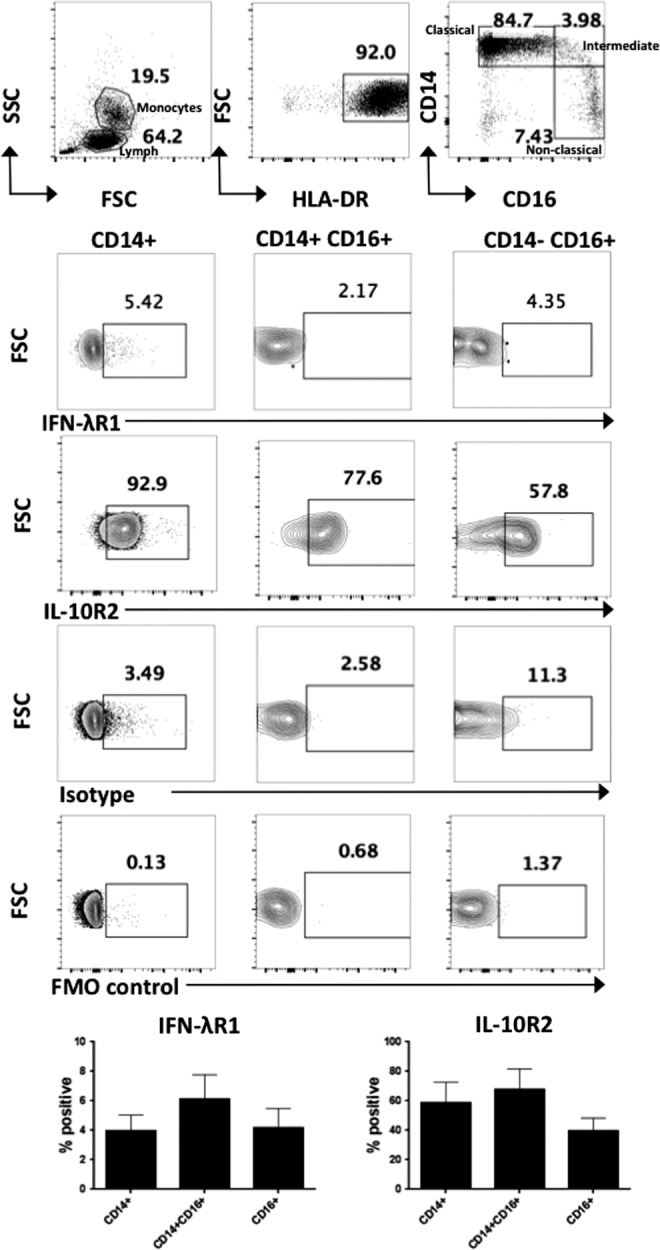 FIG. 2.