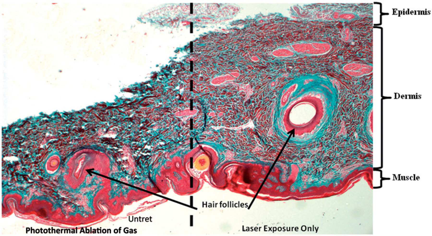 Figure 6.