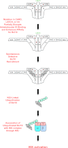 Fig 10
